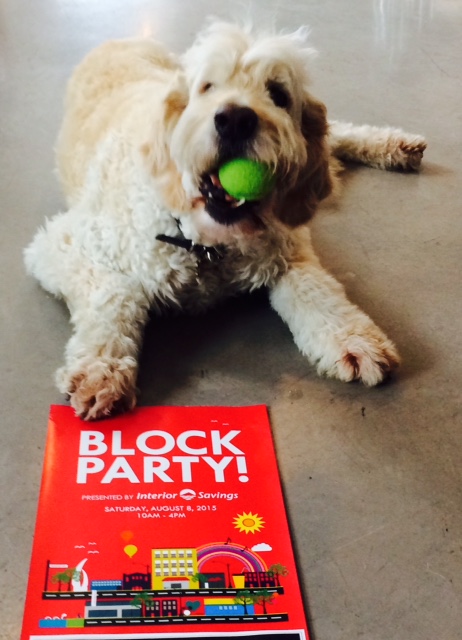 dex block party