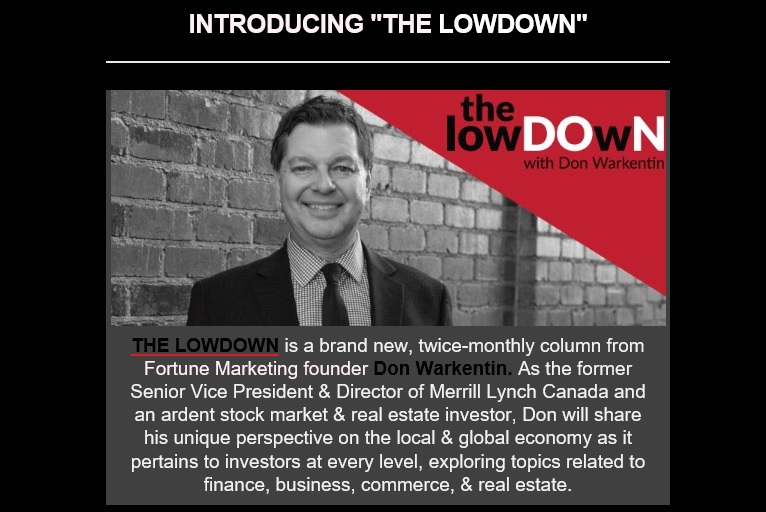 lowdown newsletter screenshot