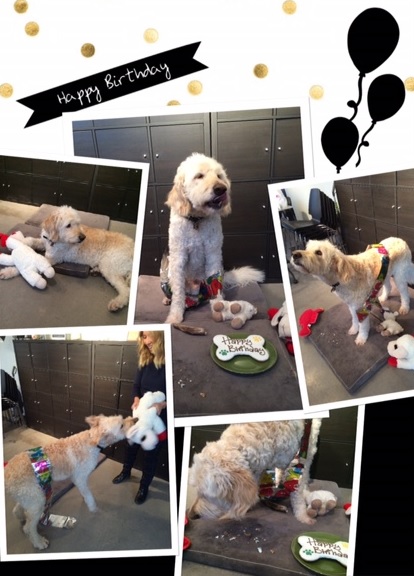 dexter bday 10