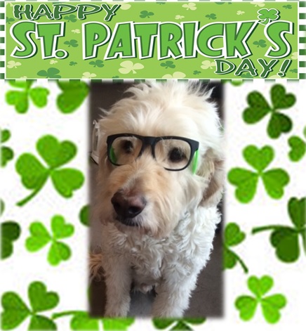 dexter st patty