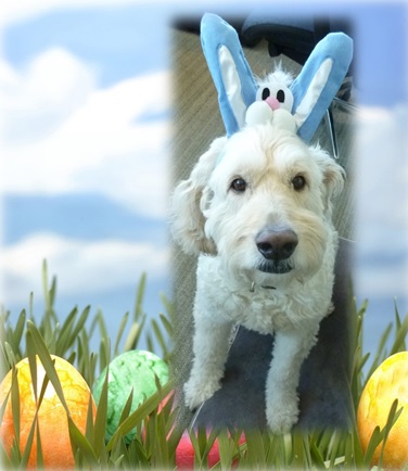 easter