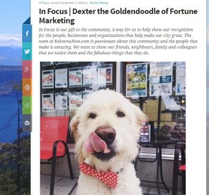 kelownanow dexter